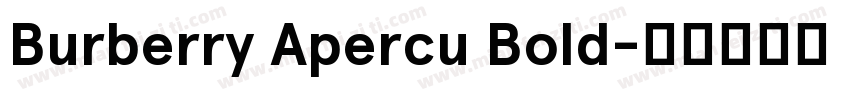 Burberry Apercu Bold字体转换